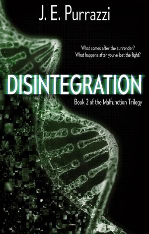 Cover of the book Disintegration by S.E. Sasaki