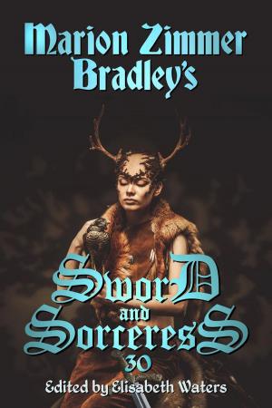 Book cover of Sword and Sorceress 30