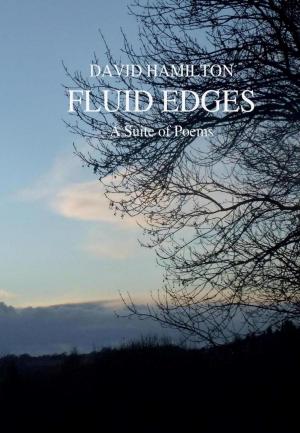 Book cover of Fluid Edges