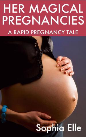 Book cover of Her Magical Pregnancies: A Rapid Pregnancy Tale