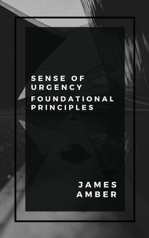 Cover of the book Sense of Urgency: Foundational Principles by Janet Amber