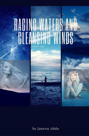 Cover of the book Raging Waters Cleansing WInds by Lisa Mullarkey