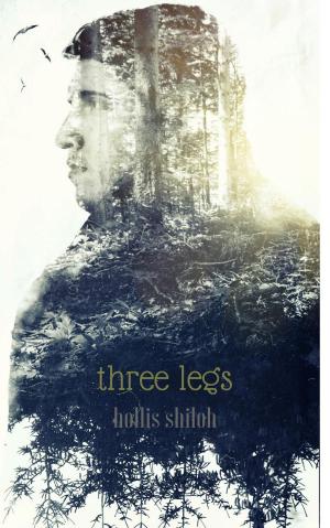 Cover of the book Three Legs by Hollis Shiloh