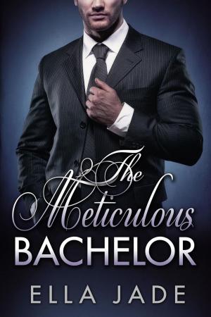 Cover of the book The Meticulous Bachelor by Ally Adair