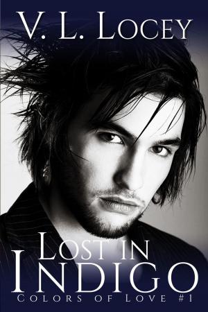 Book cover of Lost in Indigo