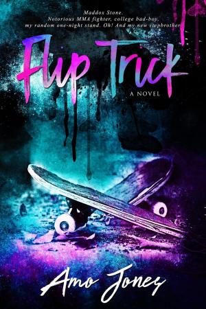 Cover of the book Flip Trick by Marie Long