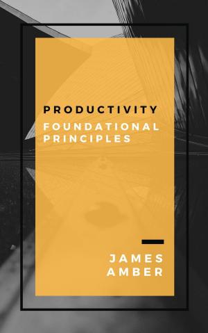 Book cover of Productivity: Foundational Principles