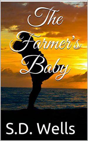 Cover of the book The Farmer's Baby by Brenda Margriet
