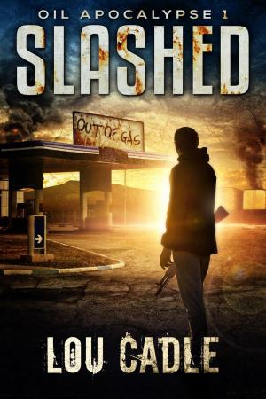 Book cover of Slashed