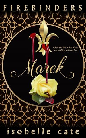 bigCover of the book Firebinders: Marek by 