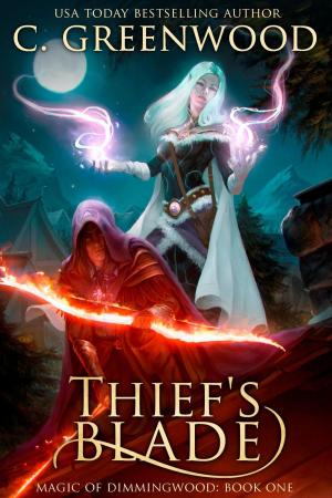 bigCover of the book Thief's Blade by 