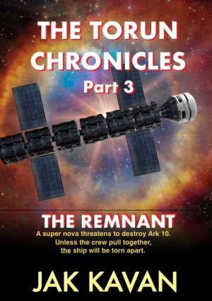 Book cover of THE REMNANT