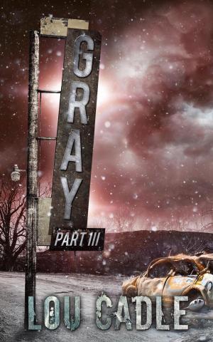 Cover of the book Gray: Part III by A.E. Hellstorm