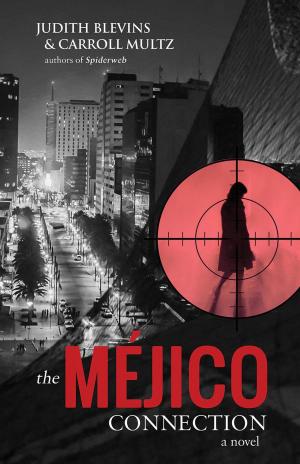 Cover of the book The Méjico Connection by William Schlichter