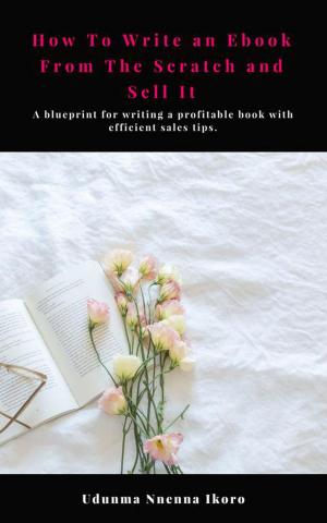 Cover of How to Write an Ebook From the Scratch and Sell It