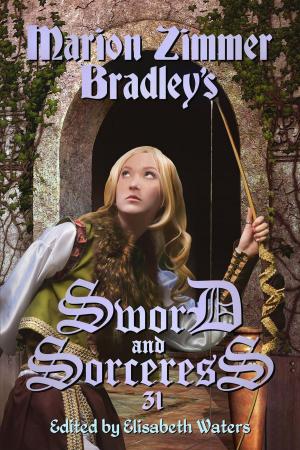 Cover of the book Sword and Sorceress 31 by S.T. Gulik