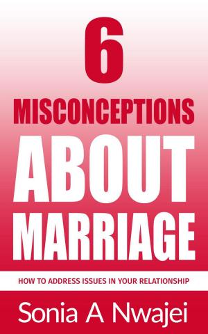 Cover of the book 6 Misconceptions About Marriage by John Nichols