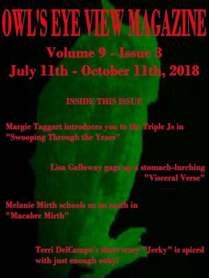 Cover of the book Owl's Eye View Magazine - Volume 9 - Issue 3 by Terri DelCampo, Margie Taggart, Lisa Galloway, Melanie Mirth