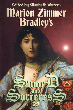 Book cover of Sword and Sorceress 28
