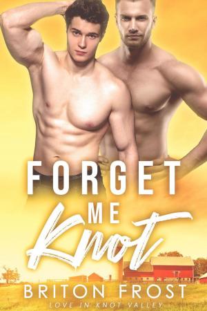 Cover of the book Forget Me Knot: An Mpreg Romance by Alfred Bekker, Larry Lash, Pete Hackett, Thomas West