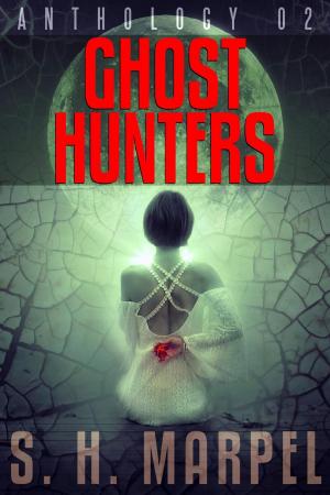 Cover of the book Ghost Hunters Anthology 02 by C. C. Brower, J. R. Kruze, R. L. Saunders, S. H. Marpel