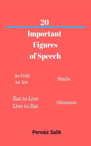 bigCover of the book 20 Important Figures of Speech by 