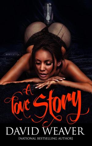 Cover of the book A Love Story by Nikki Urban