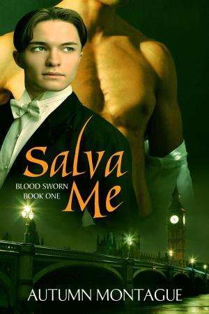Book cover of Salva Me