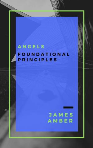 Cover of the book Angels: Foundational Principles by James Amber, Janet Amber