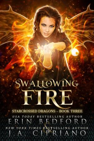 Book cover of Swallowing Fire