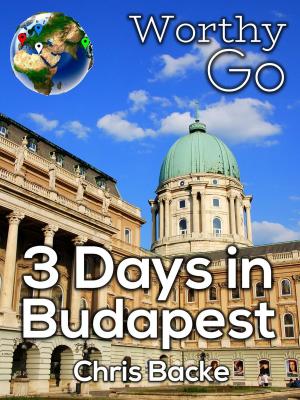 Cover of the book 3 Days in Budapest by Teasi Cannon