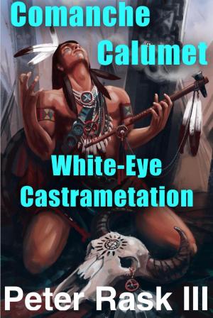 Book cover of Comanche Calumet - White-Eye Castrametation