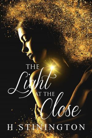 Cover of the book The Light at the Close by Cosimo Vitiello