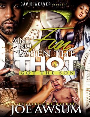 Cover of the book Ain't No Fun When the Thot Got the Son by Elaine Flowers