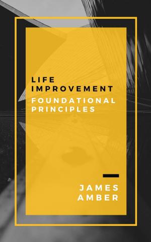 Cover of the book Life Improvement: Foundational Principles by Derrell Pettersen
