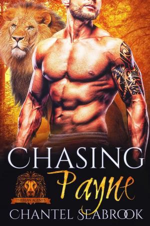 Book cover of Chasing Payne