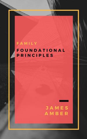 Cover of the book Family: Foundational Principles by Hillary Tubin