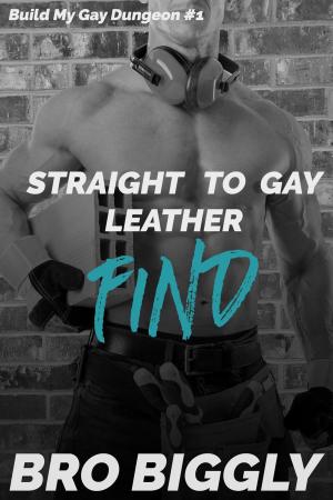 Cover of the book Find: Straight to Gay Leather by Bro Biggly