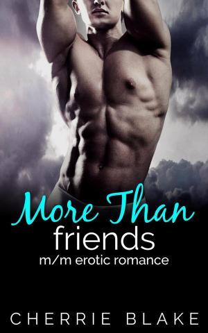 Cover of the book More Than Friends: M/M Erotic Romance by Cherrie Blake