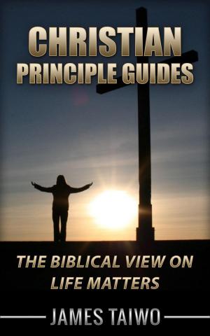 Cover of the book Christian Principle Guides by Diana C Lindsay, Kelly G Lindsay