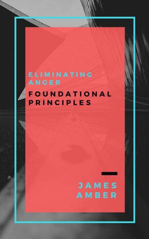 Book cover of Eliminating Anger: Foundational Principles