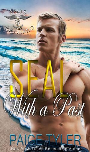 Cover of the book SEAL with a Past by Anthony Mendola