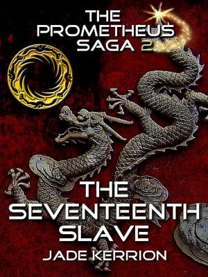 Book cover of The Seventeenth Slave