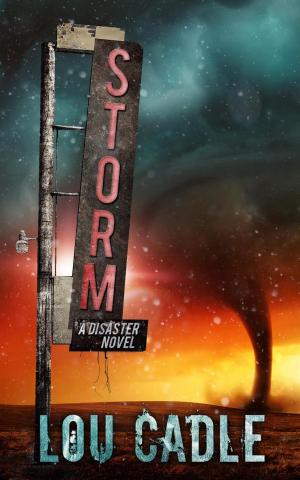 Cover of the book Storm by Ed Bar