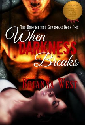 Cover of the book When Darkness Breaks by Alan Nayes