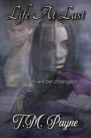 Cover of the book Life At Last: Secrets Book Three by Benjamin Burress