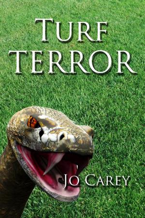 Cover of the book Turf Terror by James Swallow