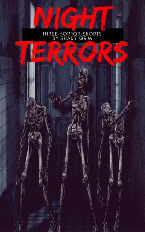 Cover of the book Night Terrors : Three Horror Shorts by Saga Zuster