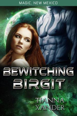 Book cover of Bewitching Birgit