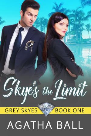 Cover of the book Skye's the Limit by nikki broadwell